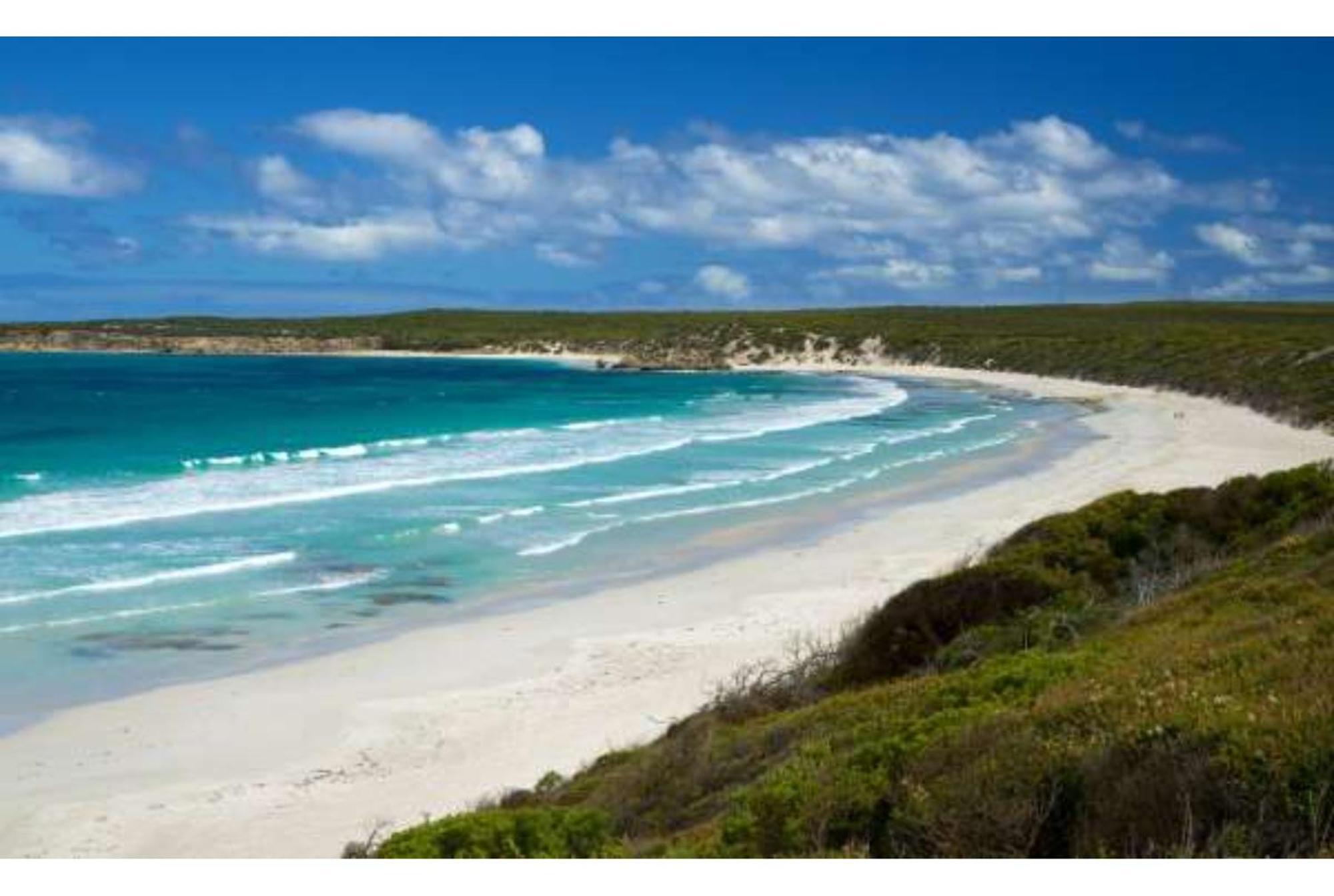 Discovery Parks - Kangaroo Island Flinders Chase Eksteriør billede